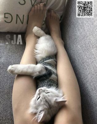 妈妈的朋友6线在完整视频_DVD韩国电影在线观看