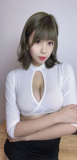 警花与警犬第二季免费观看全集_国产剧全集免费播放